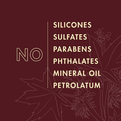 SheaMoisture Jamaican Black Castor Oil Strengthen & Restore Conditioner 13 fl oz - Imperfect Container